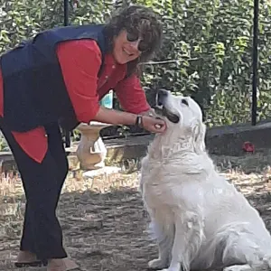 Je m'occupe de vos animaux pendant vos absences 