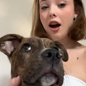 pet-sitter à toulouse, passionné par les animaux 💕