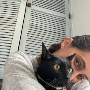 Disponível para Pet sitting em Setúbal