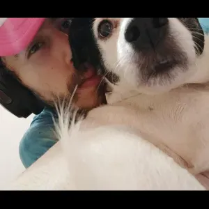 Dog sitting ad Alessandria: amore assicurato! 