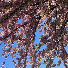 Recherche heures de ménage centre ville