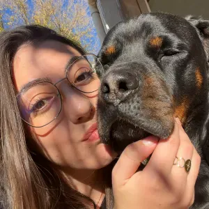 Pet sitter sur Le Val et allentours.