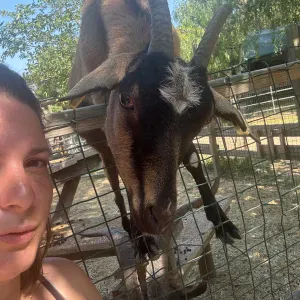 Pet sitter verneuil en halatte