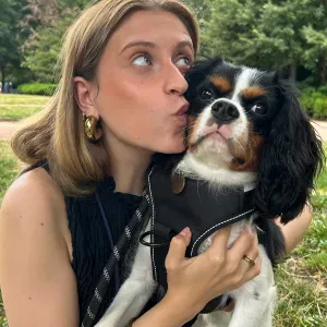 À la recherche d'un pet sitter 