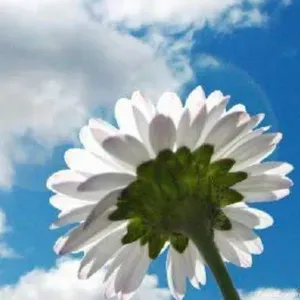 Emploi d'aide ménagère Nivelles