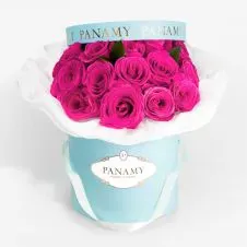 Garder votre chien ou chat ou aquarium