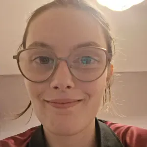 Baby-sitter expérimentée a limoges 
