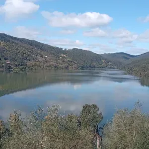 Empregada de limpeza, Monte redondo Leiria