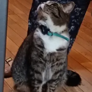 Jeune Petsitter sur Paris 14e et Montrouge 