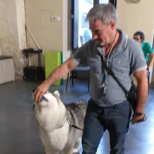 Petwalker Lisboa - Zona Expo e arredores