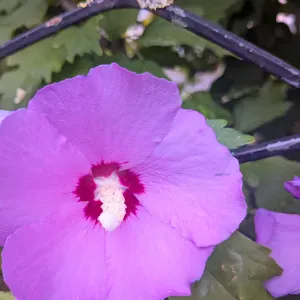Recherche femme de Ménage ponctuelle et sérieuse 