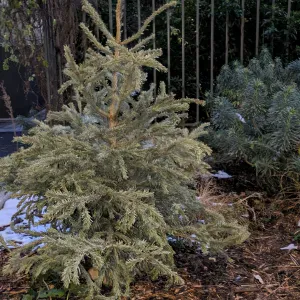 GARDE ANIMAUX DE COMPAGNIE,NAC....