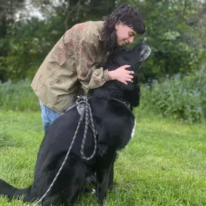 Pet sitter a falaise et aux alentours 
