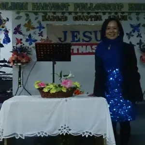 Experienced Nanny or cleaner in Madrid Spain 17 yrs 