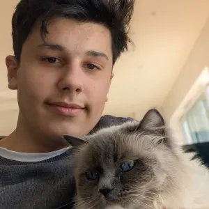 Kattvakt I Huddinge med omnejd