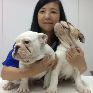 Pet sitting with love and care Kerava