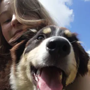 Je garde votre animal pendant les vacances ! Lille