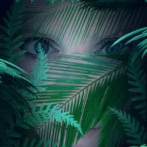 Femme de ménage secteur sarrebourg 