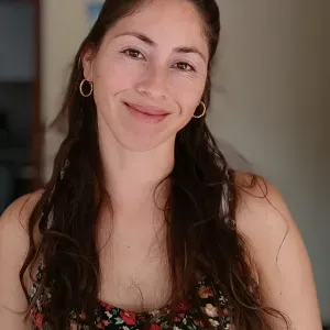 Profissional de limpeza Porto 