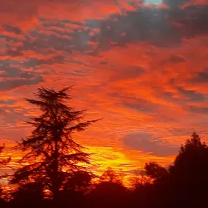 Aide à domicile pour les aînés 