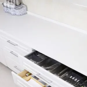 Femme ou homme de ménage