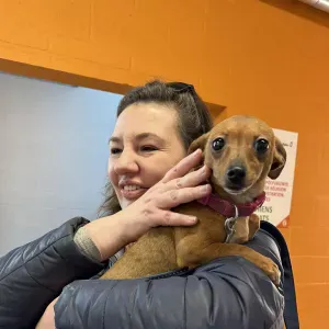 Garde d'enfants réguliere à Nivelles 