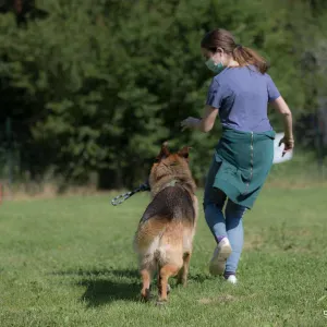 Disponibile per aiuto scolastico