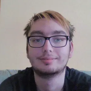 Anfänglicher Babysitter sucht einen Job Bitburg