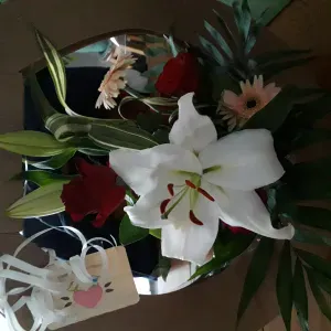 Employée à domicile