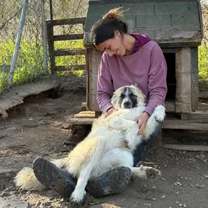 Heureuse pet-siter dans le 44, sur la côte et + :)