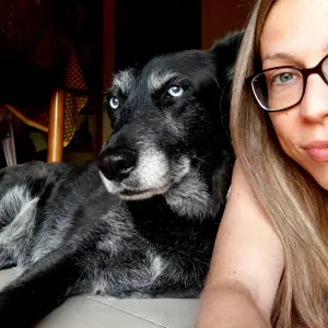 Dog sitter a Rovereto, cat sitter a domicilio