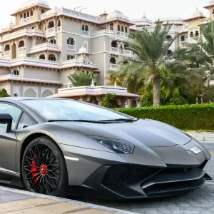 Pet-Sitter ou aide ponctuelle à domicile – Mercredi