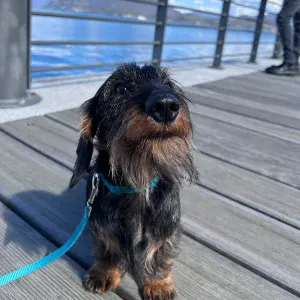 Offerta di lavoro per addetto alla pulizia a Formia