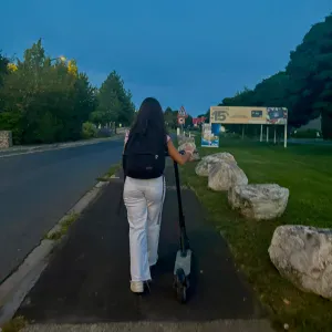 Pet -Sitter à Chalons Champagne 