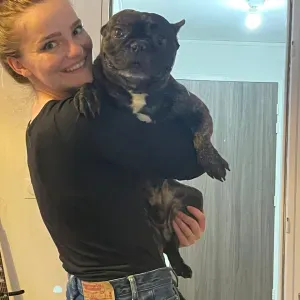 Pet-sitter passionnée à  Rosporden 