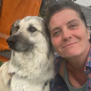 Pet sitting a Trento e dintorni