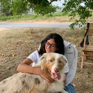 Pet sitting a Napoli (cat e dog)