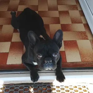 Faço limpezas moradias e escritórios 