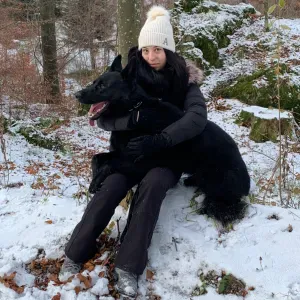 Pet sitting a Gorizia (cap: 34170)