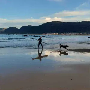 Cuidadora de perros en Ribamontán, Bareyo y alrededores.