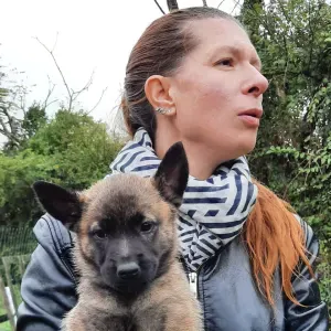 aide à tout faire a st sebastien sur loire