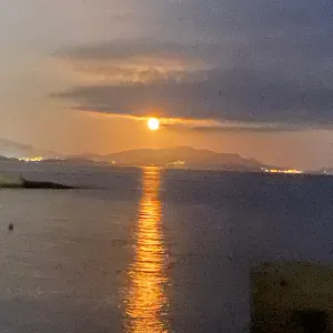 Disponible pour garder vos enfants