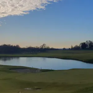 Cerco persona per pulizie