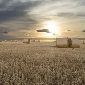 Offerta di lavoro per babysitter a Alessandria