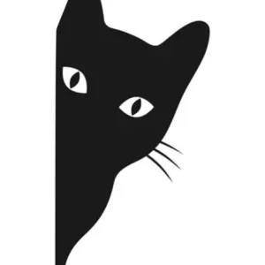 Pensione per gattina