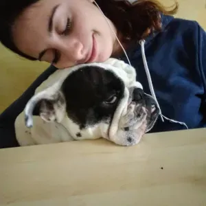 Pet sitting Padova e provincia