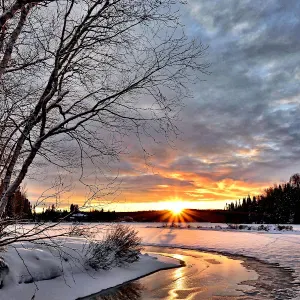 Pet-Sitter mobile entre Orléans et Paris!