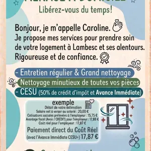 Aide ménagère sur le secteur de Lambesc 13