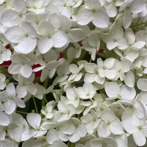 Débutante en baby-sitting. Motivée ! 