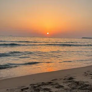 Baby-sitter disponible à Puteaux pour la rentrée 2025